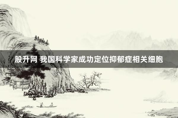 股升网 我国科学家成功定位抑郁症相关细胞