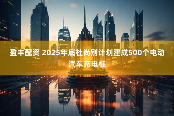 盈丰配资 2025年底杜尚别计划建成500个电动汽车充电桩