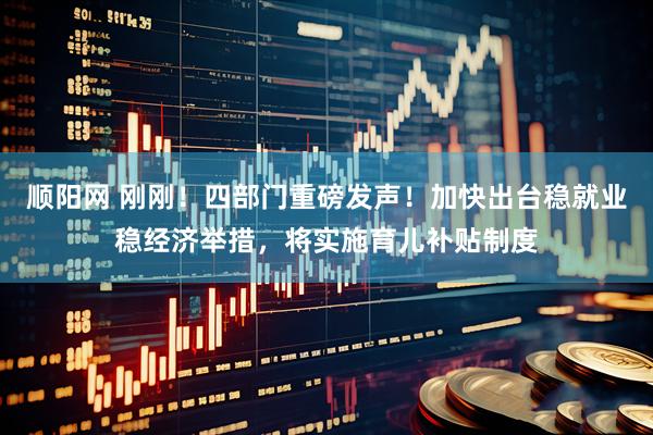 顺阳网 刚刚！四部门重磅发声！加快出台稳就业稳经济举措，将实施育儿补贴制度